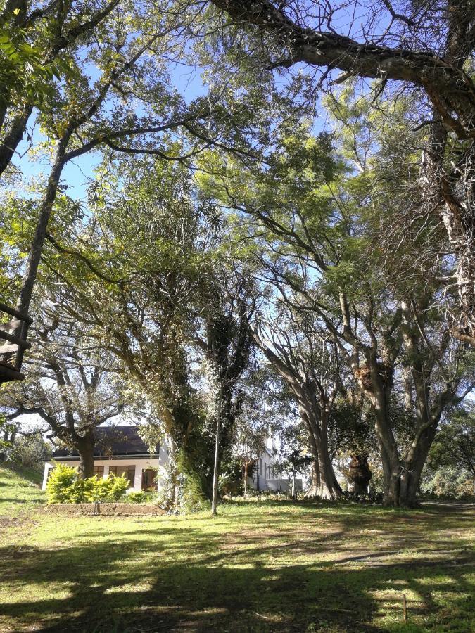 Le Arc Manor House Apartman Franschhoek Kültér fotó